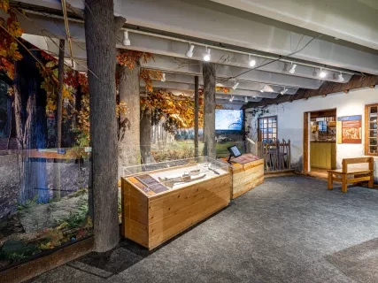 Origins exhibit