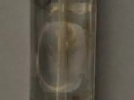 Bottle, Perfume