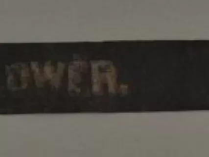 Belt