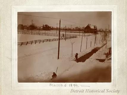Print, Photographic