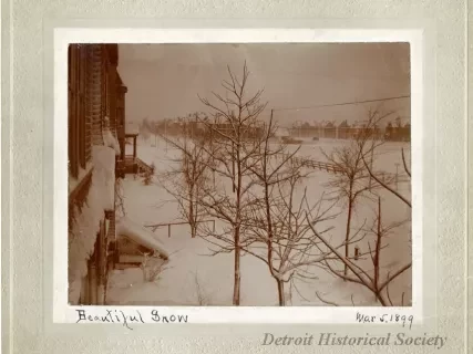 Print, Photographic - Beautiful Snow