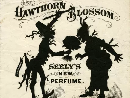 Advertisement
