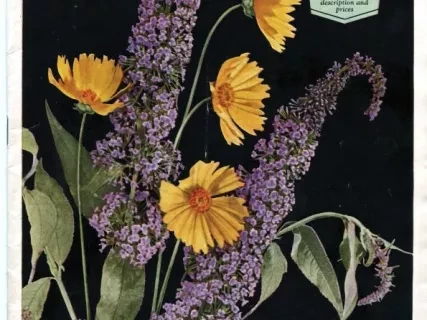Catalog - 1930 Annual