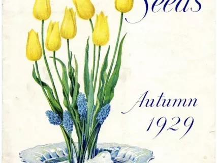 Catalog - Bulbs & Seeds, Autumn 1929