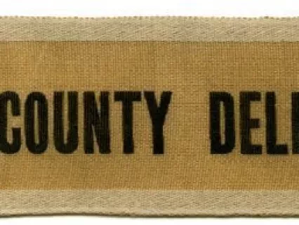 Ribbon, Political