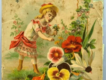 Catalog - 1881 Seed Annual
