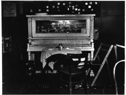 Print, Photographic - Bar Piano