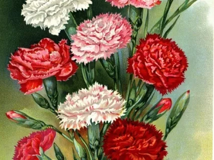 Engraving