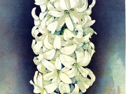 Engraving