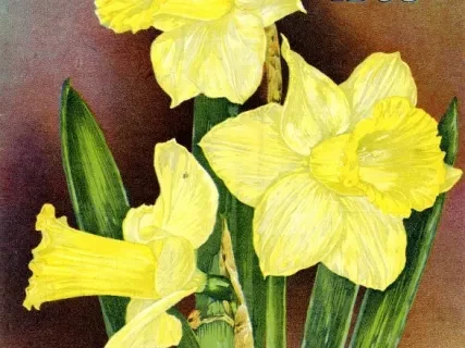 Engraving