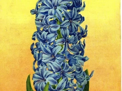 Engraving