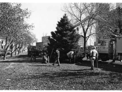 Print, Photographic - Tree Planting, Cadillac Square