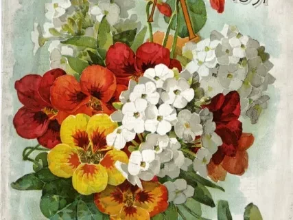 Catalog - Seed Annual, 1897