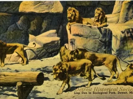 Postcard - Lion Den in Zoological Park, Detroit, Mich.