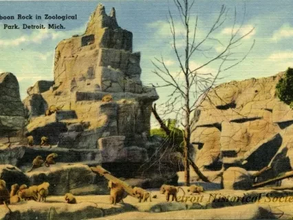 Postcard - Baboon Rock in Zoological Park, Detroit, Mich.