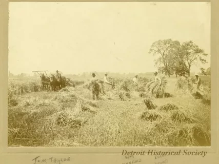 Print, Photographic