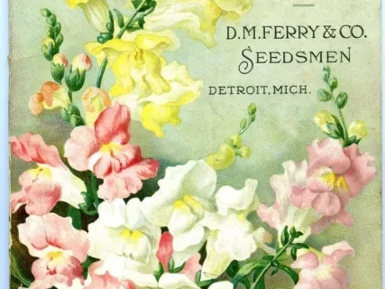 Catalog - Seed Annual, 1916