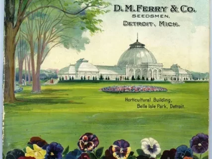 Catalog - Seed Annual, 1908