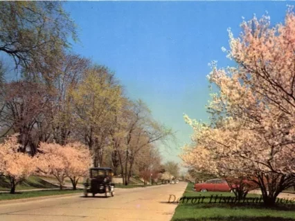 Postcard