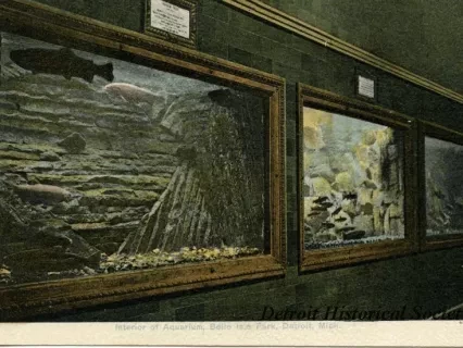 Postcard - Interior of Aquarium, Belle Isle Park, Detroit, Mich.