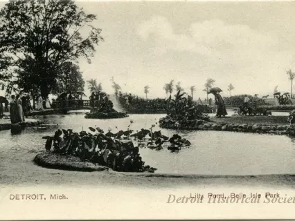 Postcard - Detroit, Mich. Lily Pond, Belle Isle Park