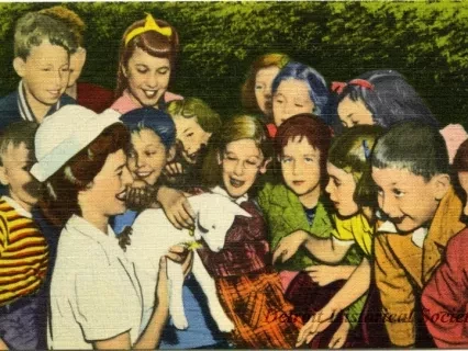 Postcard