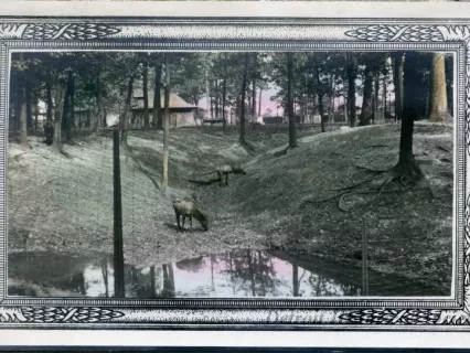 Postcard