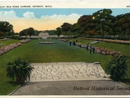 Postcard - Belle Isle Rose Garden, Detroit, Mich.