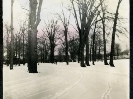 Postcard