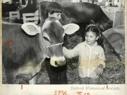 Print, Photograph