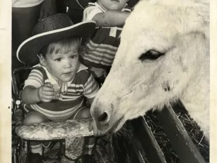 Print, Photograph