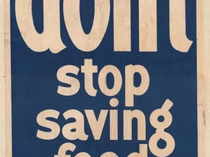 Poster - Don't Stop Saving Food