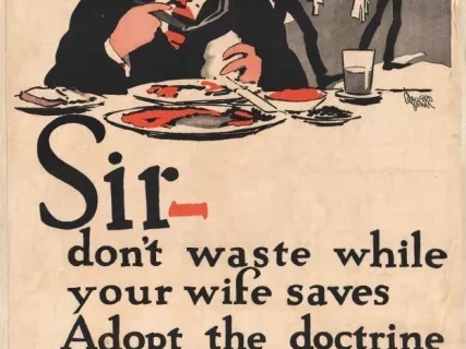 Poster - Sir - Don't Waste While Your Wife Saves