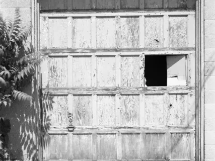 Negative, Film