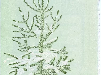 Card, Greeting