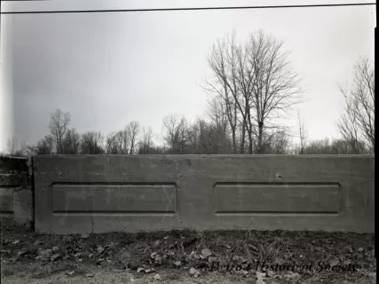 Negative, Film