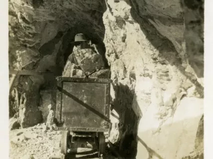 Print, Photographic