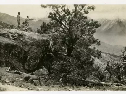 Print, Photographic