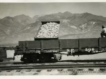 Print, Photographic