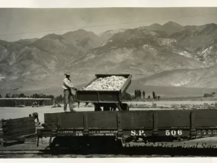 Print, Photographic