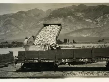 Print, Photographic