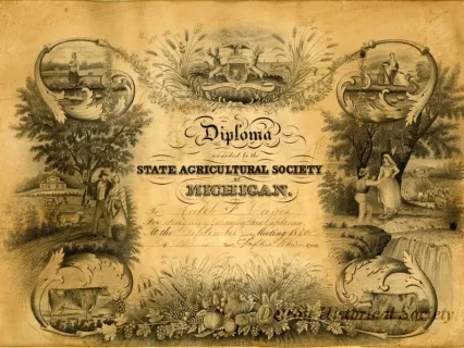 Diploma
