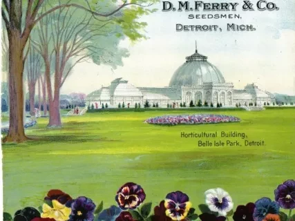 Catalog - Seed Annual 1908