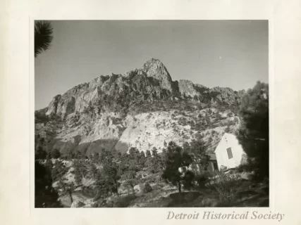 Print, Photographic