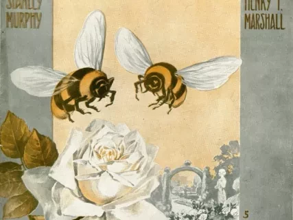 Music, Sheet - Be My Little Baby Bumble Bee