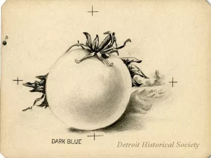 Lithograph
