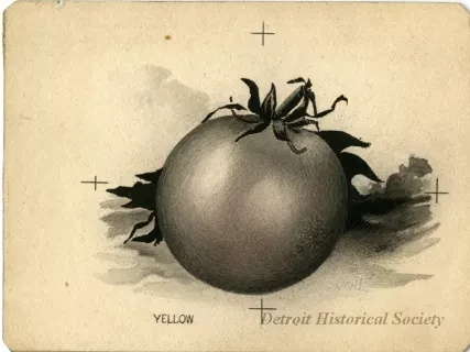 Lithograph