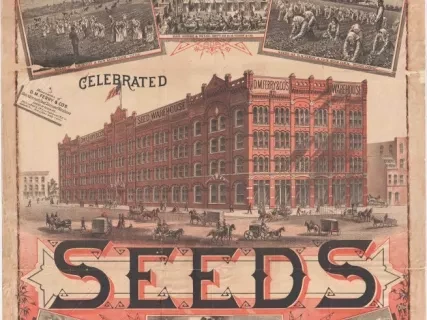 Poster - D.M. Ferry & Co.'s Celebrated Seeds