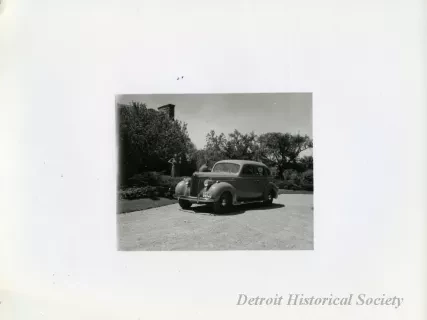 Print, Photographic