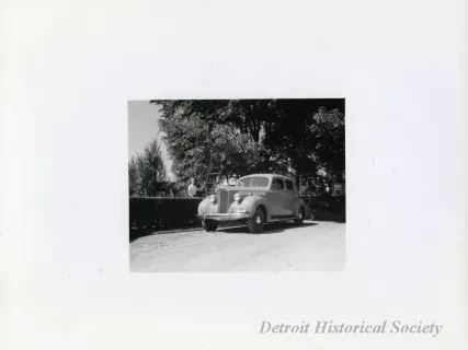 Print, Photographic